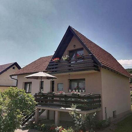 Putnicka Kuca Kod Dragane Hotel Bajina Basta Kültér fotó