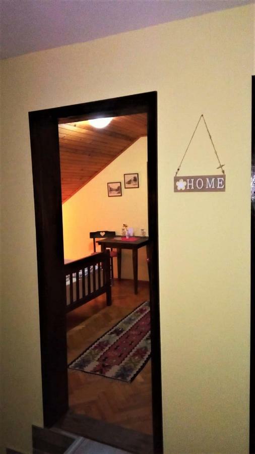 Putnicka Kuca Kod Dragane Hotel Bajina Basta Kültér fotó